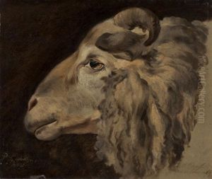 Studie Eines Widderkopfs by Pieter Gaal