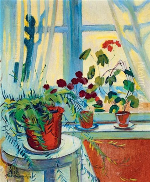 Studio Still Life - view 1