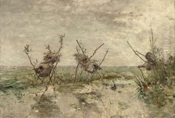 Eendennesten - Duck-nests In A Polder Landscape - view 1