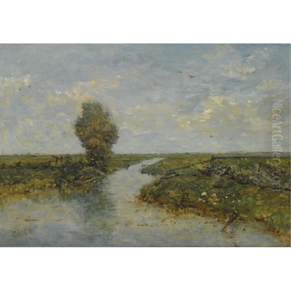 A Polder Landscape - view 1