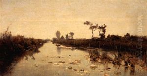 Early Morning In The Polder Of Kortenhoef