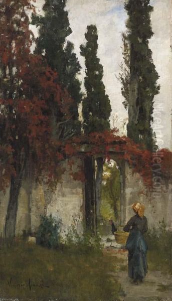 Pergolato Nel Cortile - view 1