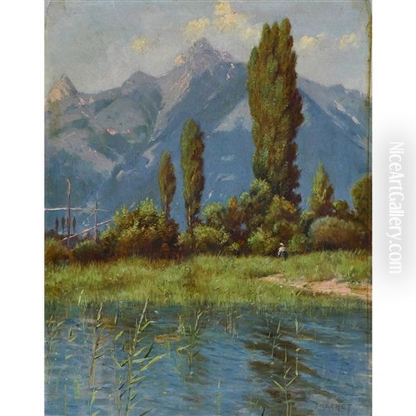 Sommerliche Uferlandschaft - view 1