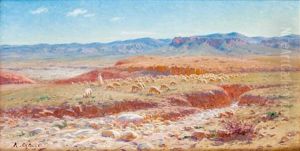 Paturage Sur Les Hauts Plateaux