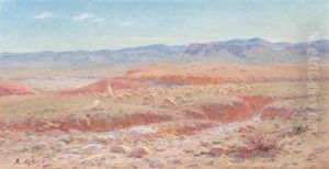 Paturage Dans La Campagne Algerienne