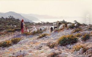 Les Chevriers Sur La Falaise Du Cap De Garde A Bone (annaba)