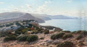 Jeunes Bergers Et Leurs Chevres, Bord De Mer