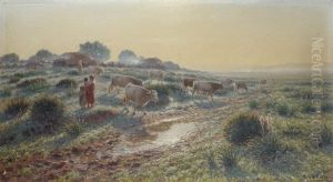 Troupeau Au Crepuscule