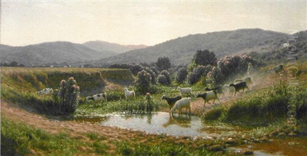 Berger Et Son Troupeau Aux Environs De Bone - view 1