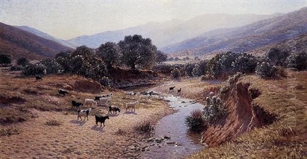 L'oued Fleuri - view 1