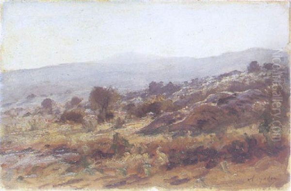 Paysage D'algerie - view 1