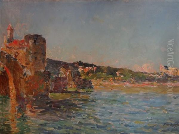 Le Pont Saint Benezet - view 1
