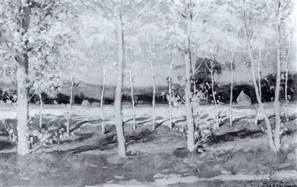 Autumn - view 1