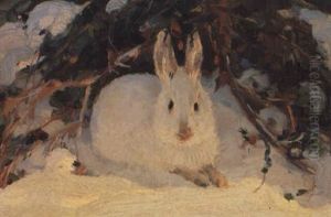 Study Of A Hare In Winter