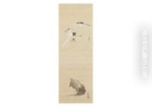 Crane And Turtle