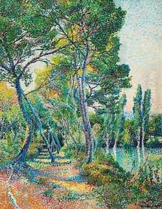 Sous-bois