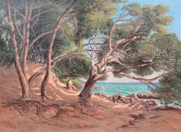 Paysage Mediterraneen Aux Grands Pins - view 1