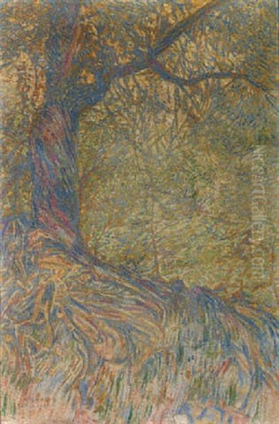 Arbre Du Bois Sacre (olympie) - view 1