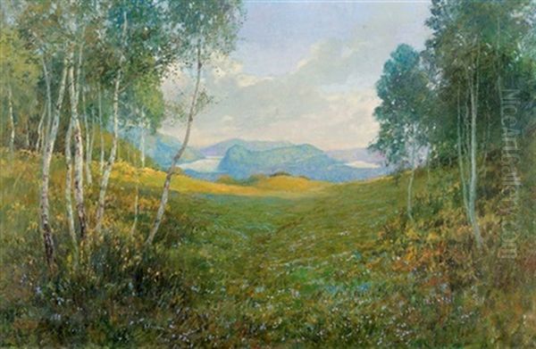 Dai Monti Di Tesserete - view 1