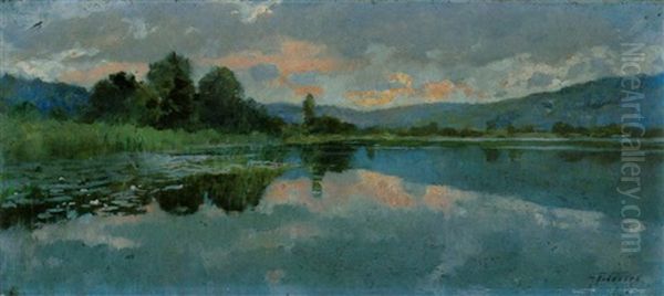 Uferlandschaft Mit Schilf Und Seerosen - view 1