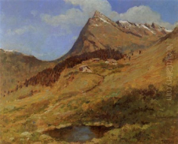Piz Uccello, San Bernardino - view 1