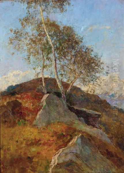 An Alpine Landscape - view 1