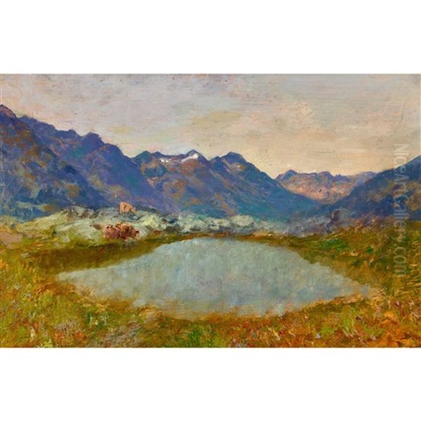 Tessiner Bergsee - view 1