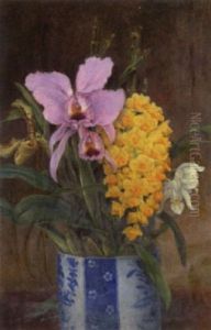 A Still Life Of Orchids