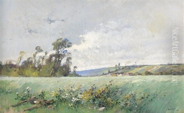 Weite Fruhlingslandschaft - view 1