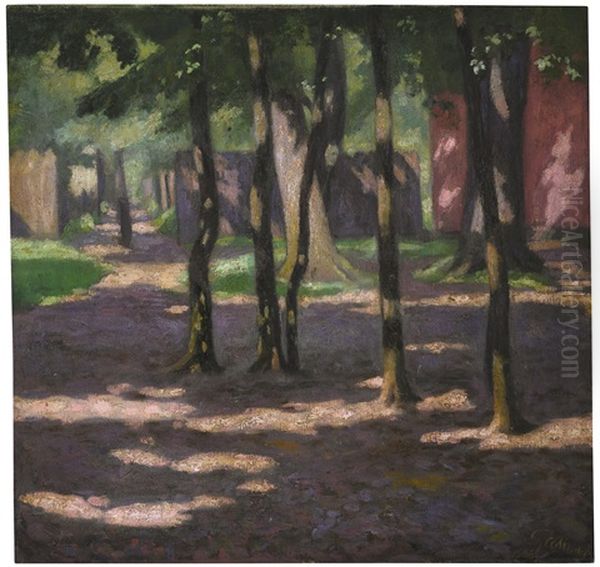 Trees - view 1
