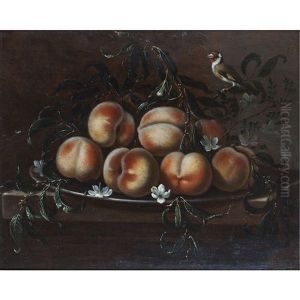 Still Life Of Peaches And Songbird by Fede Galizia