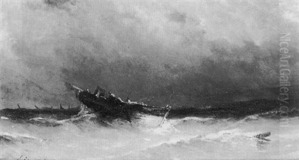 Marine - view 1