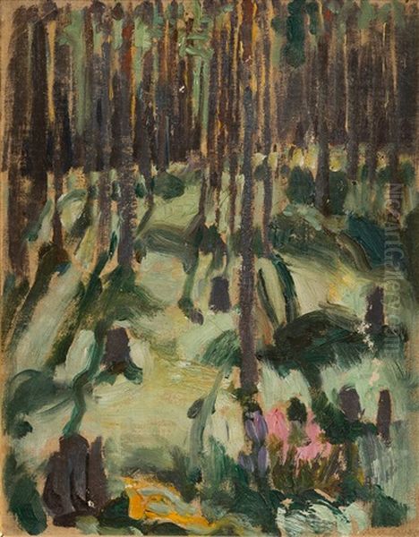 Sunbeams In The Forest - view 1