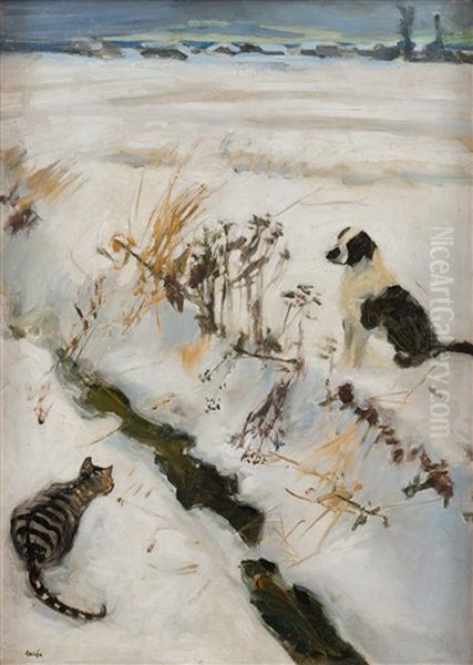 Cat And Dog - view 1