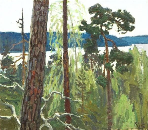 Pine Tree - view 1