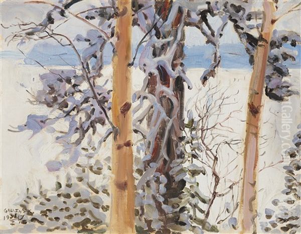 Winter Landscape From Ruovesi - view 1