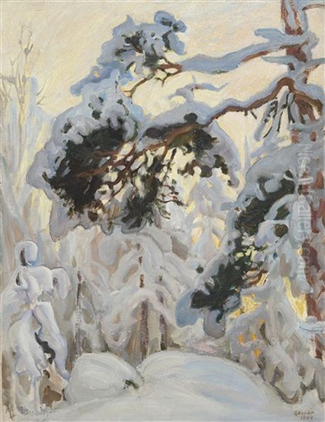 Winter Forest - view 1