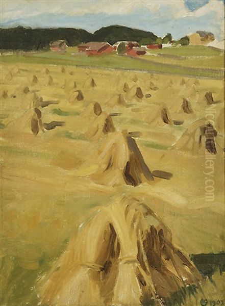 Rye Field - view 1