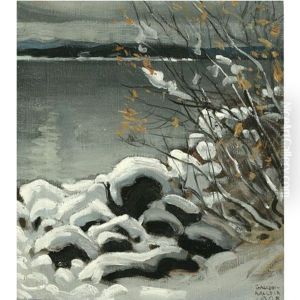 Luminen Maisema-snowy Landscape