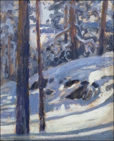 Talvinen Metsamaisema - view 1