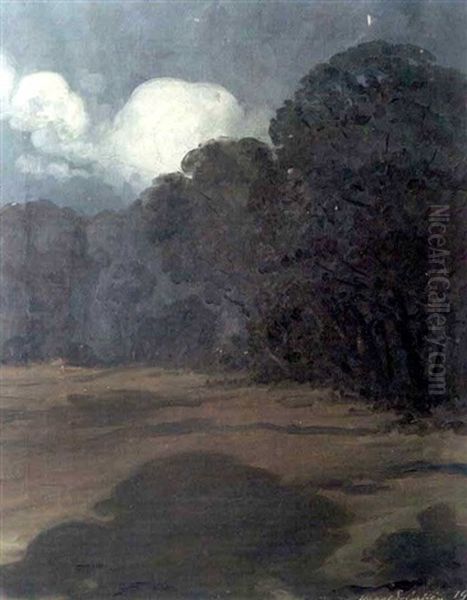 Landscape - view 1