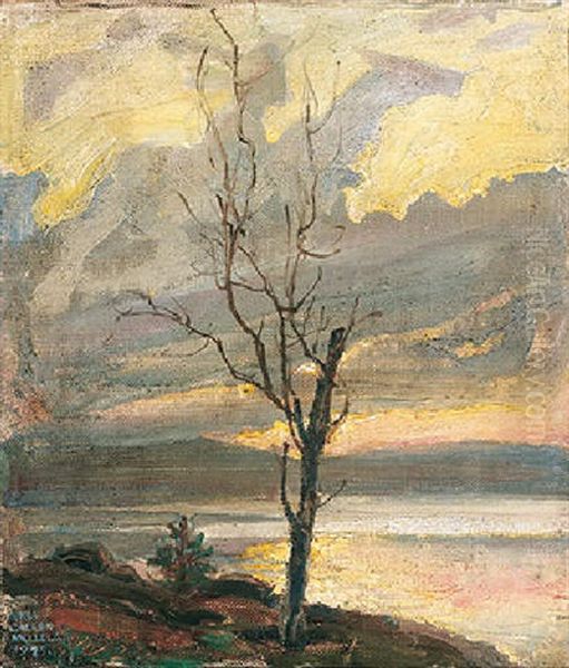Jarvimaisema - view 1