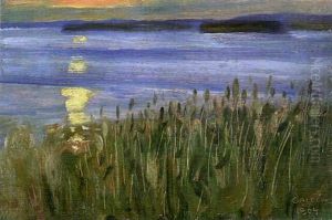 Strandvass by Akseli Valdemar Gallen-Kallela