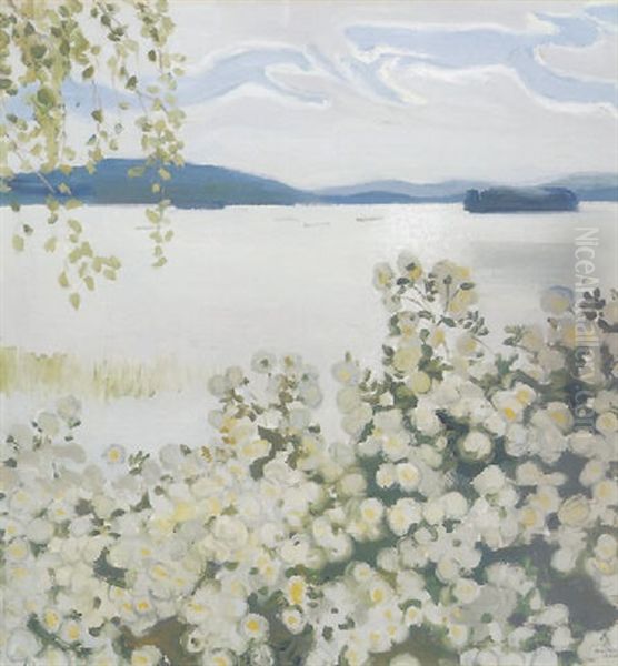 Valkoisia Ruusuja Konginkangas - view 1
