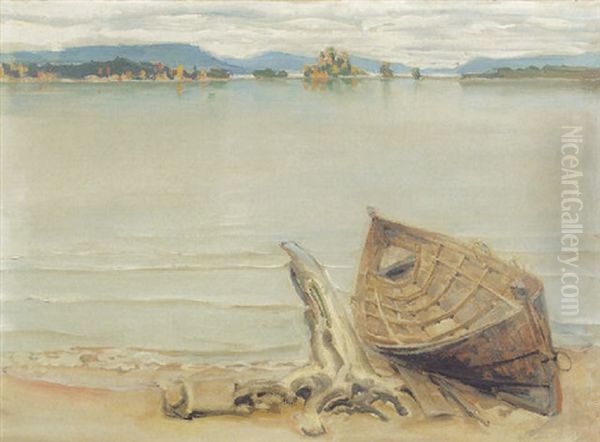 Vene Jarven Rannalla - view 1