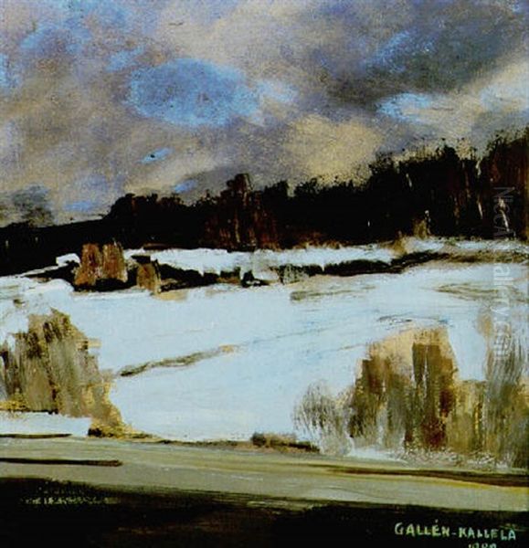 Den Forsta Snon, Korpilahti - view 1