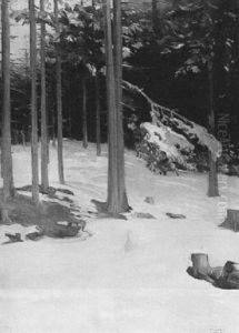 Pine Trees Under Snow by Akseli Valdemar Gallen-Kallela