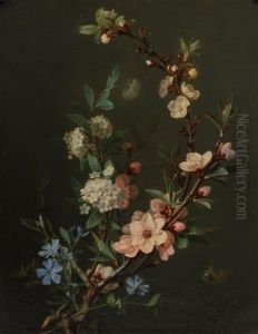 Still Life With Flowering Branches And Butterfly