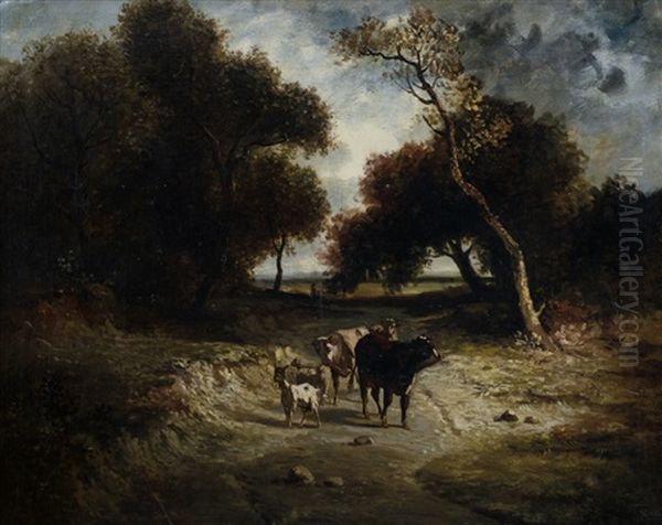 Capre E Mucche Sul Limitar Del Bosco - view 1