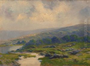 Expansive Mountain Landscape With Misty Pools